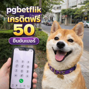 pgbetflik เครดิตฟรี 50 ยืนยันเบอร์ ทางเลือกเริ่มต้นสำหรับผู้เล่นยุคใหม่ ทดลองเล่นได้จริง ระบบใช้งานง่ายและปลอดภัย